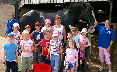 Farmer 4 a Day - washing Thor